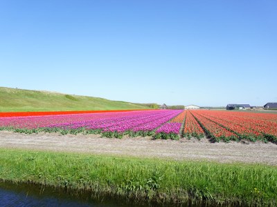 Holiday apartment Residence Juliana 41 - Environment photo 16