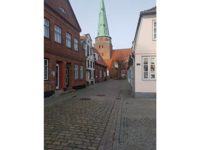 Holiday apartment Maritim Ostseeträume 315 - Outdoor photo 16