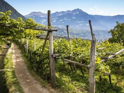 Holiday apartment Apartment Hanna - Environment photo 25