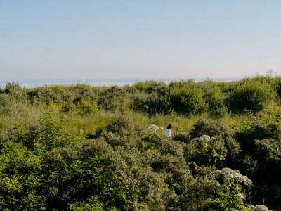 Apartment Strandresidentie D 202 The Dune - Features photo 11