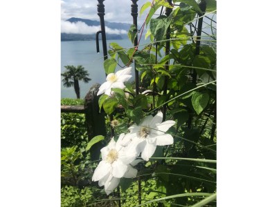 Holiday apartment Casa Tramonto d'Oro - Sonnenuntergang - Outdoor photo 12