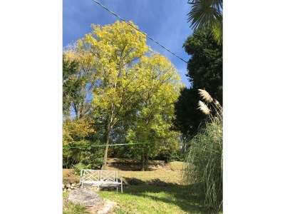 Holiday apartment Casa Tramonto d'Oro - Sonnenuntergang - Outdoor photo 13