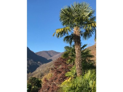 Holiday apartment Casa Tramonto d'Oro - Sonnenuntergang - Outdoor photo 16