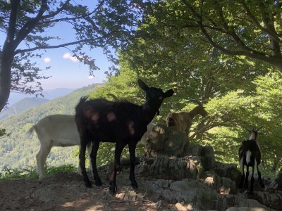 Holiday apartment Casa Tramonto d'Oro - Sonnenuntergang - Environment photo 35