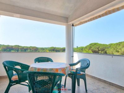 Apartment Maja Apt 1 in Fazana - Apartment