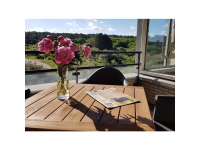 Holiday apartment Oostend 72 Ameland - Outdoor photo 3