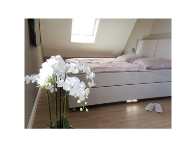 Holiday apartment Oostend 72 Ameland - Features photo 9