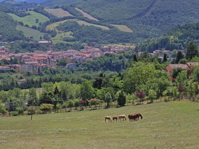 Villa Villa Durante - Environment photo 40