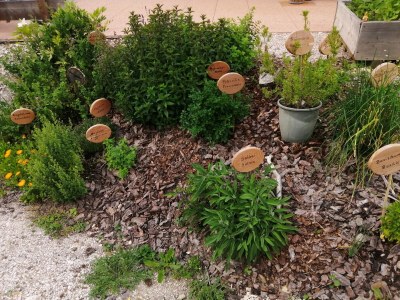 Holiday apartment Stone pine - Outdoor photo 9