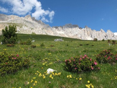 Holiday apartment Stone pine - Environment photo 33