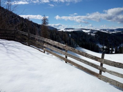 Holiday apartment Stone pine - Environment photo 39