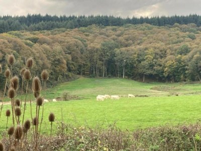 Holiday house Mansion in Martigny with Heated Pool & Vineyards - Environment photo 28
