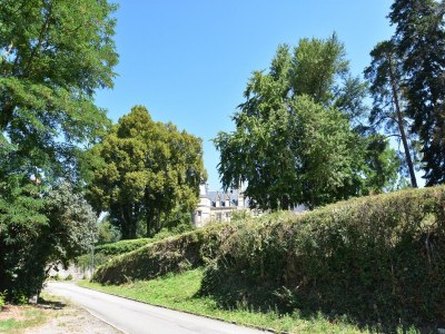 Holiday house Mansion in Martigny with Heated Pool & Vineyards - Environment photo 44