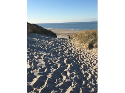 Holiday house De Banjaard Zand 28 - Environment photo 31