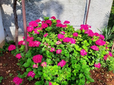 Holiday house Dolores - Environment photo 29