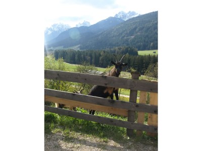 Holiday apartment Haubenthal - Outdoor photo 8