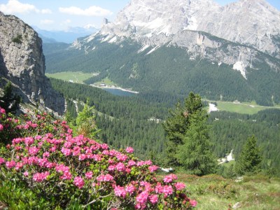 Holiday apartment Haubenthal - Outdoor photo 9