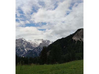 Holiday apartment Haubenthal - Environment photo 37