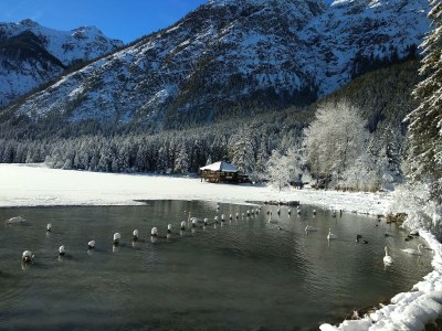 Holiday apartment Haubenthal - Environment photo 39