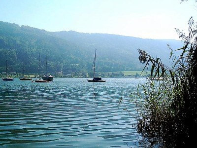 Holiday apartment Bulfon - Environment photo 11