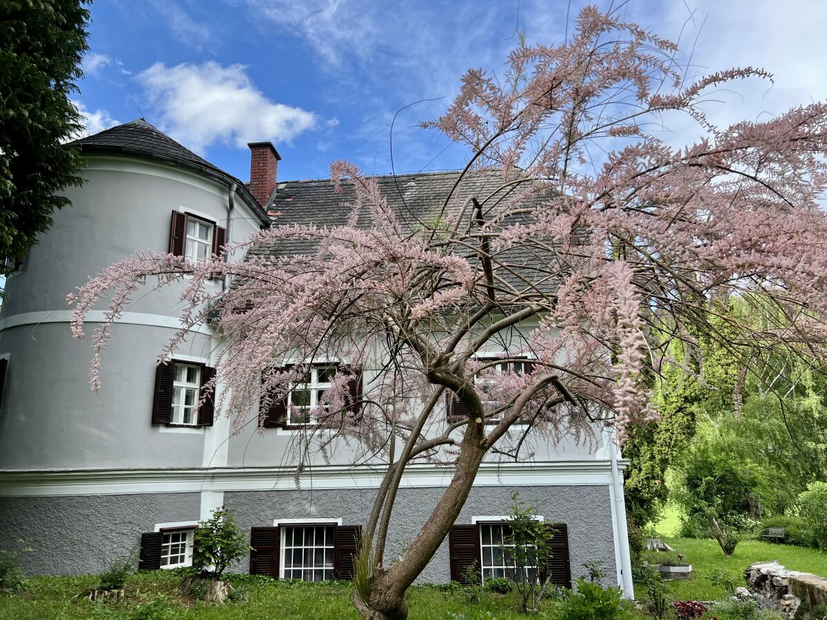 Villa Villa Sturmberg - Outdoor photo 3