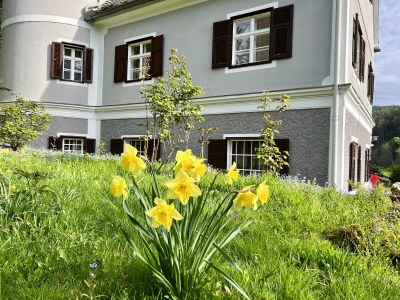 Villa Villa Sturmberg - Outdoor photo 9