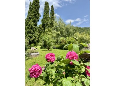 Villa Villa Sturmberg - Outdoor photo 10