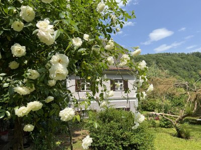 Villa Villa Sturmberg - Outdoor photo 13