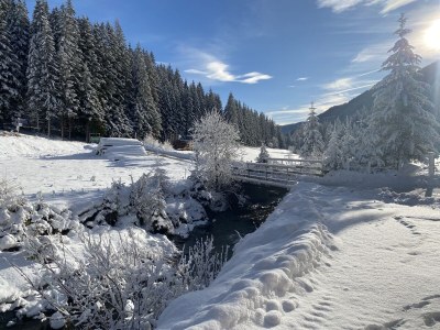 Holiday house Almblick - Environment photo 28