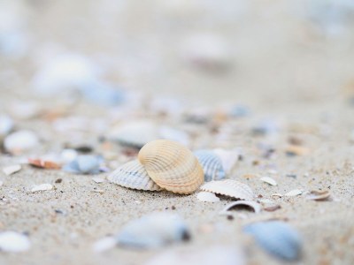 Bungalow De Las - Environment photo 20