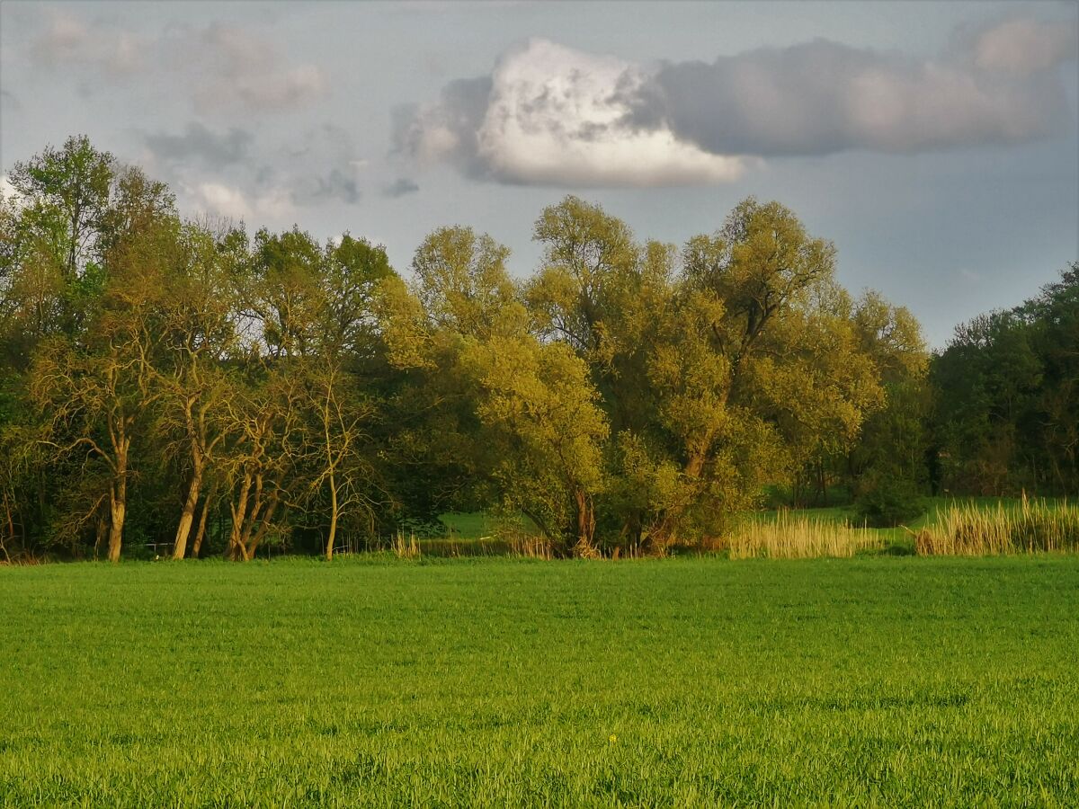 Holiday house from Landhaus Arcadia
