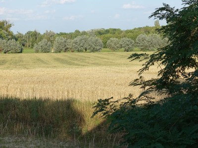Holiday house from Landhaus Arcadia - Outdoor photo 9