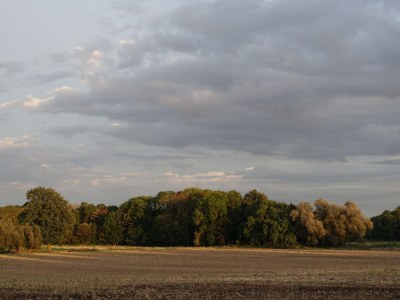 Holiday house from Landhaus Arcadia - Outdoor photo 10