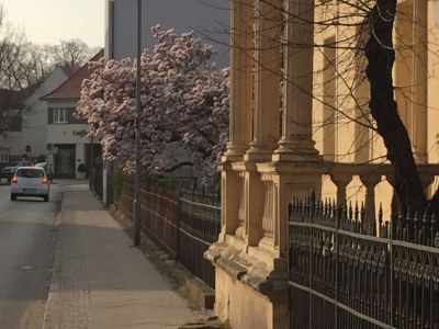 Holiday house from Landhaus Arcadia - Environment photo 25