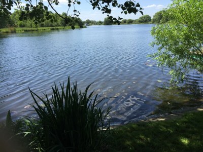 Holiday house from Landhaus Arcadia - Environment photo 28