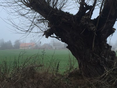 Holiday house from Landhaus Arcadia - Environment photo 30