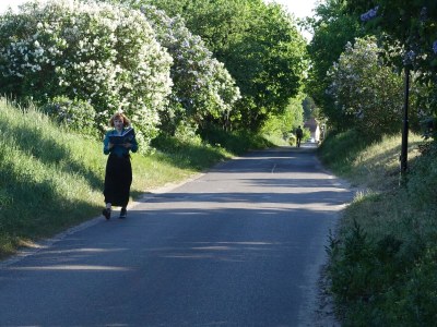 Holiday house from Landhaus Arcadia - Environment photo 31