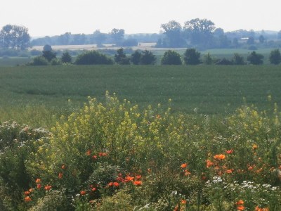 Holiday house from Landhaus Arcadia - Environment photo 32