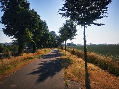 Holiday house from Landhaus Arcadia - Environment photo 33