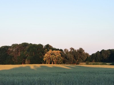 Holiday house from Landhaus Arcadia - Environment photo 34