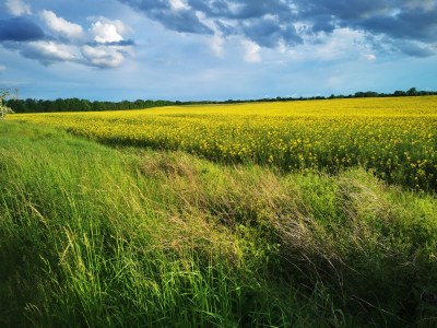 Holiday house from Landhaus Arcadia - Environment photo 36
