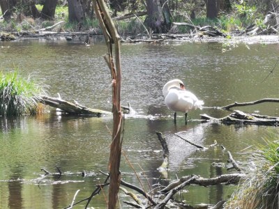 Holiday house from Landhaus Arcadia - Environment photo 39
