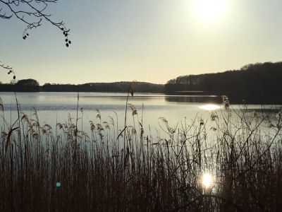 Holiday house Marion - Environment photo 16