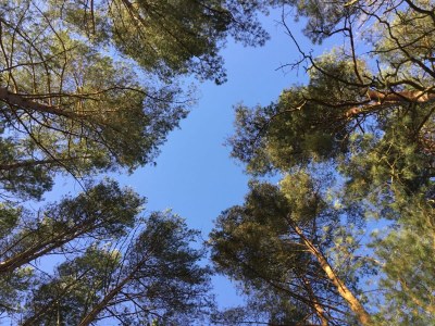 Holiday house Marion - Environment photo 17