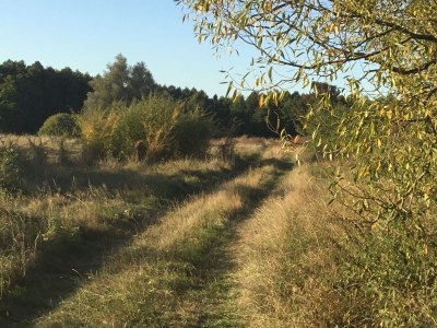 Holiday house Marion - Environment photo 18