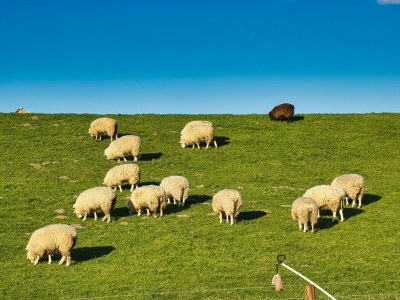 Holiday apartment Komfort Ferienwohnung Albatros 25 - Environment photo 28