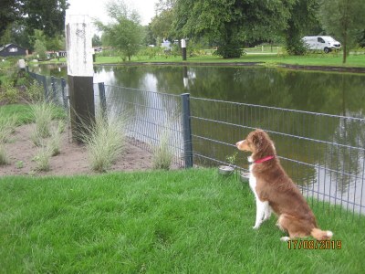 Holiday house Villa MiaMari - Outdoor photo 6