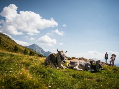 Apartment Michael am Waal - Environment photo 23