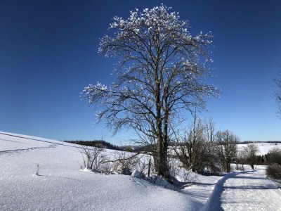 Holiday house Ferienhaus Kent - Environment photo 29