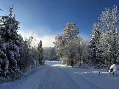 Holiday house Ferienhaus Kent - Environment photo 31